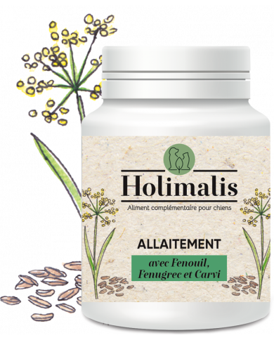 Complexe Allaitement