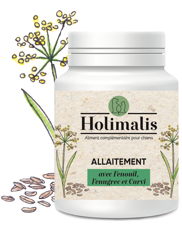 Complexe Allaitement