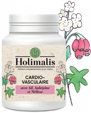 Complexe Cardiovasculaire