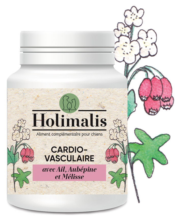 Complexe Cardiovasculaire