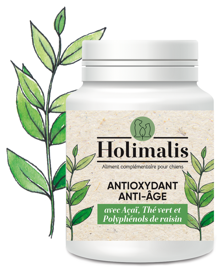 Complexe antioxydant anti-âge