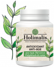 Complexe antioxydant anti-âge