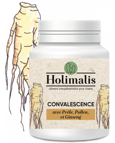 Complexe Convalescence