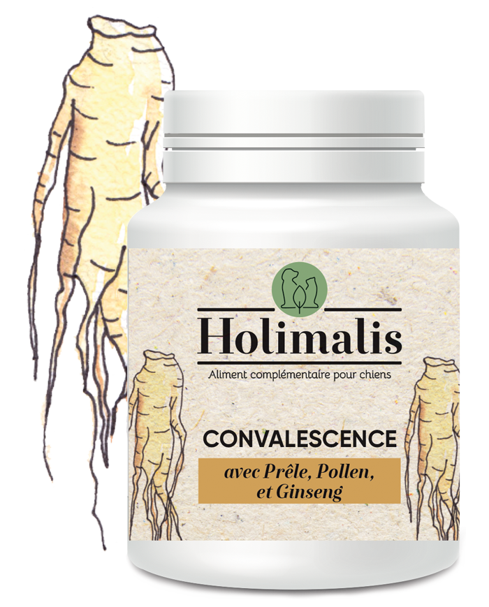 Complexe Convalescence