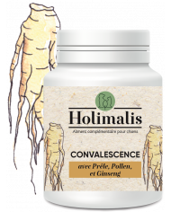 Complexe Convalescence