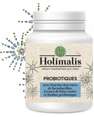 Complexe Équilibre Flore Probiotiques