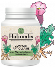 Complexe Articulation