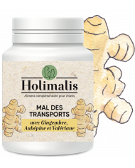 Complexe Mal des transports