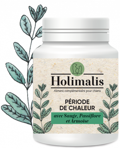 Complexe Période de chaleur