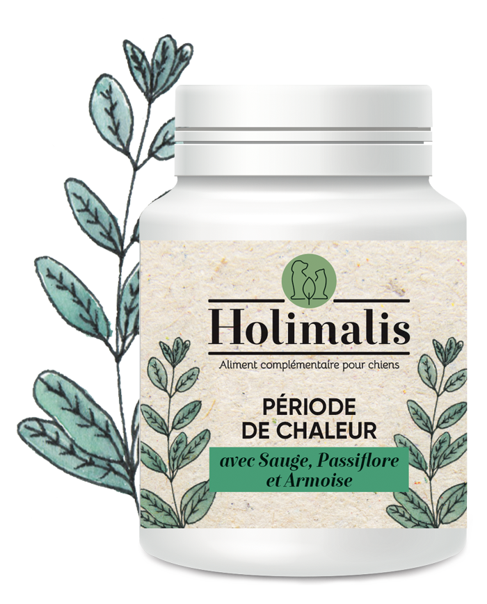 Complexe Période de chaleur