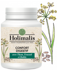 Complexe Confort digestif