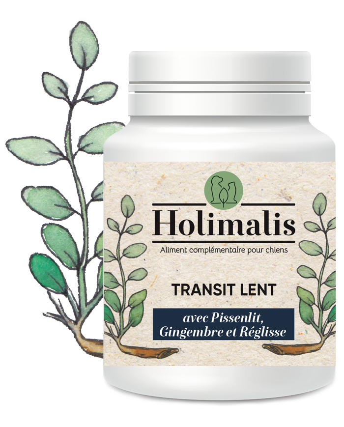 Complexe Transit lent