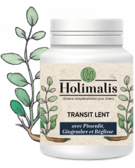 Complexe Transit lent