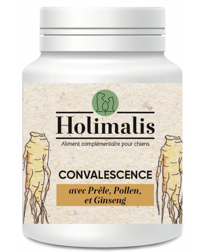 Complexe Convalescence