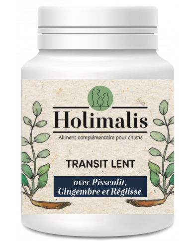 Complexe Transit lent