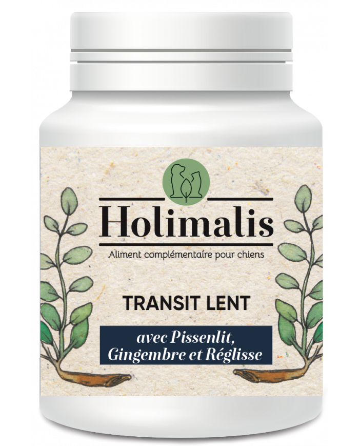 Complexe Transit lent