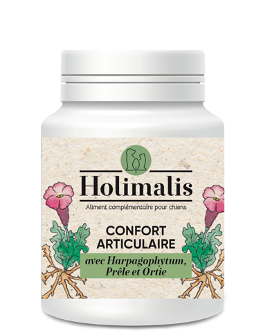 Complexe Articulation