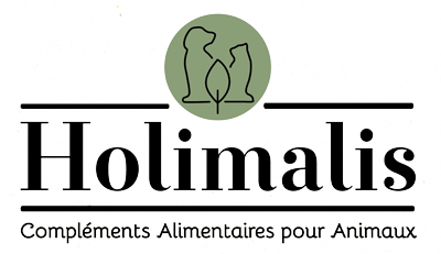 Logo Holimalis